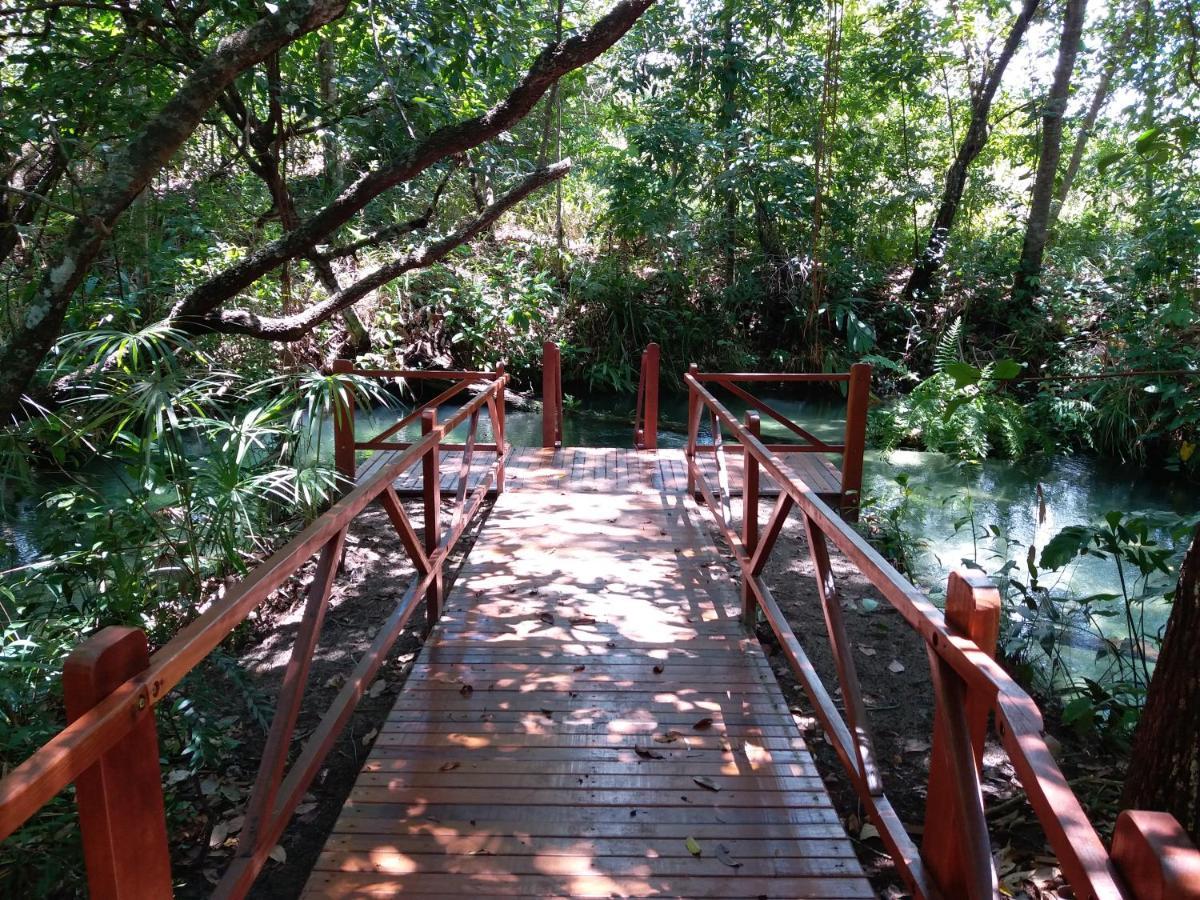 Pousada De Charme Formiga Ecolodge Mateiros Eksteriør bilde
