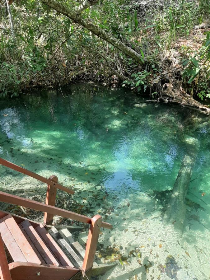 Pousada De Charme Formiga Ecolodge Mateiros Eksteriør bilde